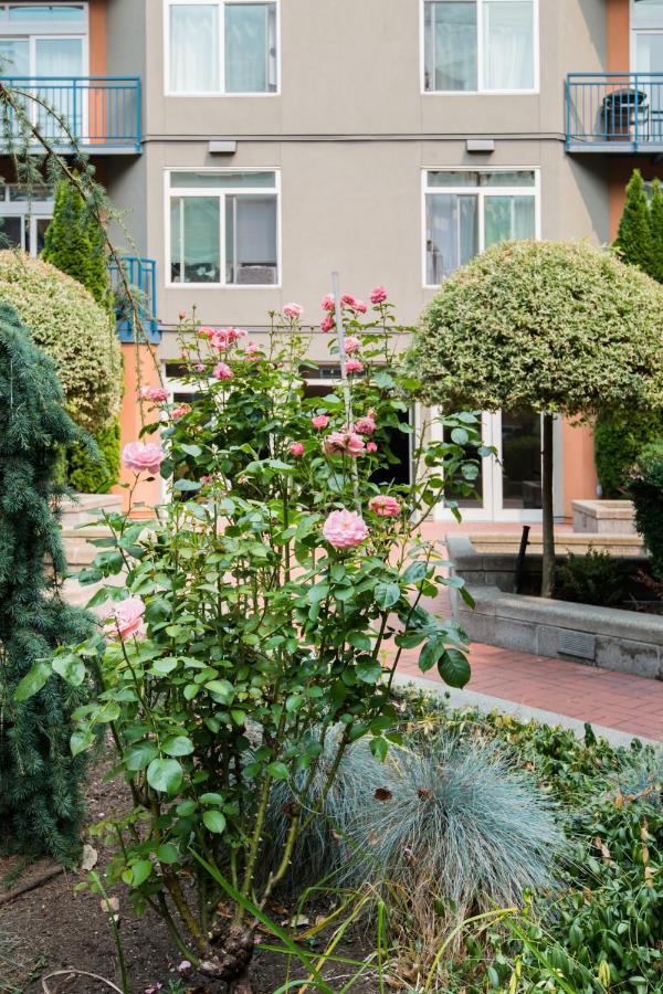 City Water View Oasis With Pool & Gym Near Cruise In Heart Of Seattle Extérieur photo